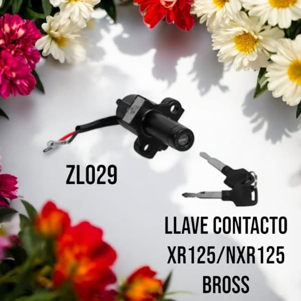 LLAVE CONTACTO HD XR125L / HD NXR125 BROSS TOWO
