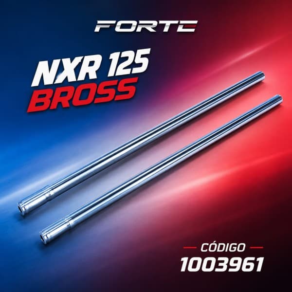 BARRALES SUSPENSION INTERNO BROSS 125 JGO FORTE