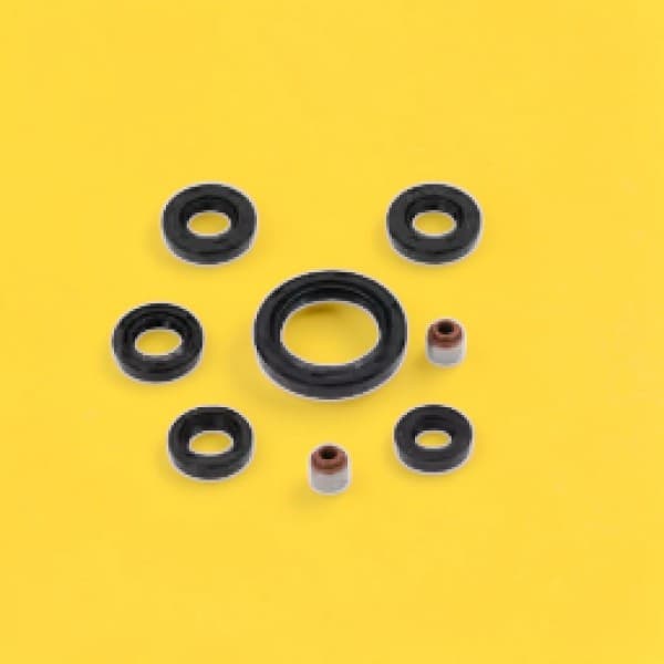 RETENES MOTOR ROUSER NS 200 JGO HADA